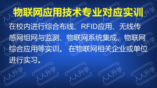 福建信息職業技術學院“雙高計劃”背景下的王牌專業 信息技術咨詢服務全解讀